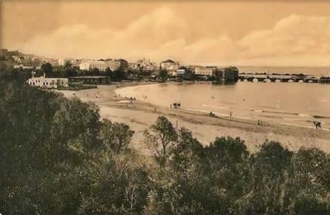 مدينة صيدا سنة 1890 